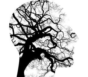 image of mind as a tree to show counsellors
